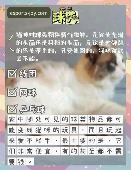 从入门到精通：资深用户对比爱游戏体育最新版下载的实战心得