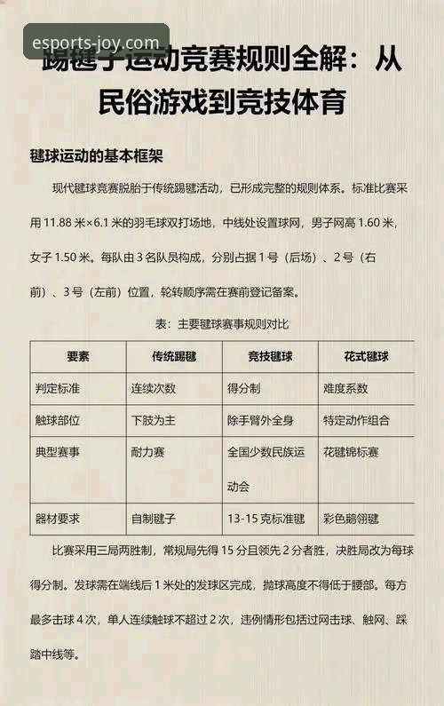 爱游戏体育平台使用指南：从下载到竞技技巧的完整解析